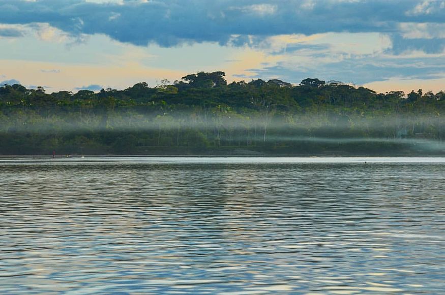 Утренний пейзаж с туманом в Амазонке на реке