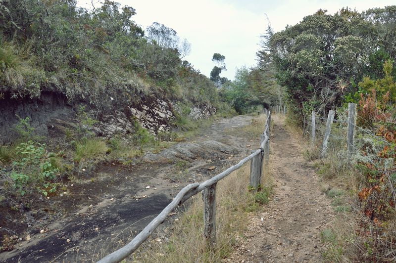 Пешеходная тропа вдоль кратера Гуатавита
