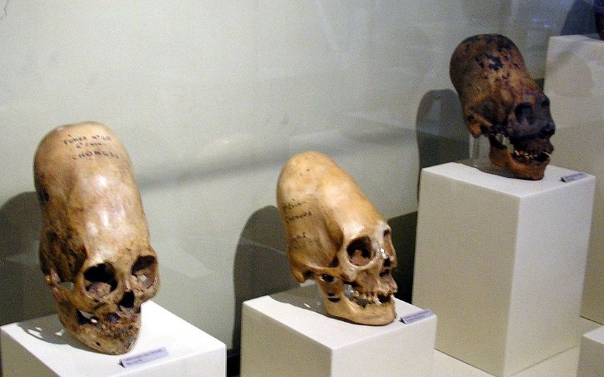 Удлинненные черепа цивилизации паракас Paracas в городском музее Ики