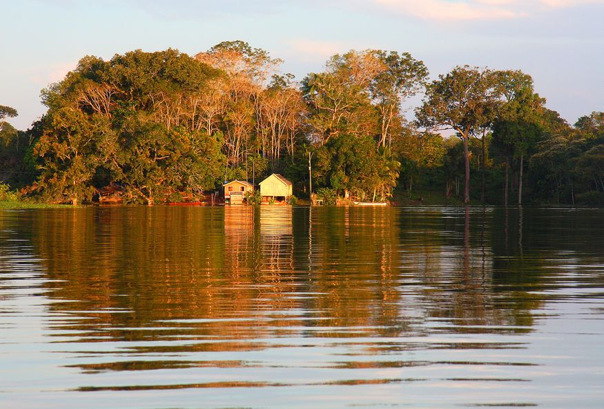 Дома в лесу на берегу Амазонки