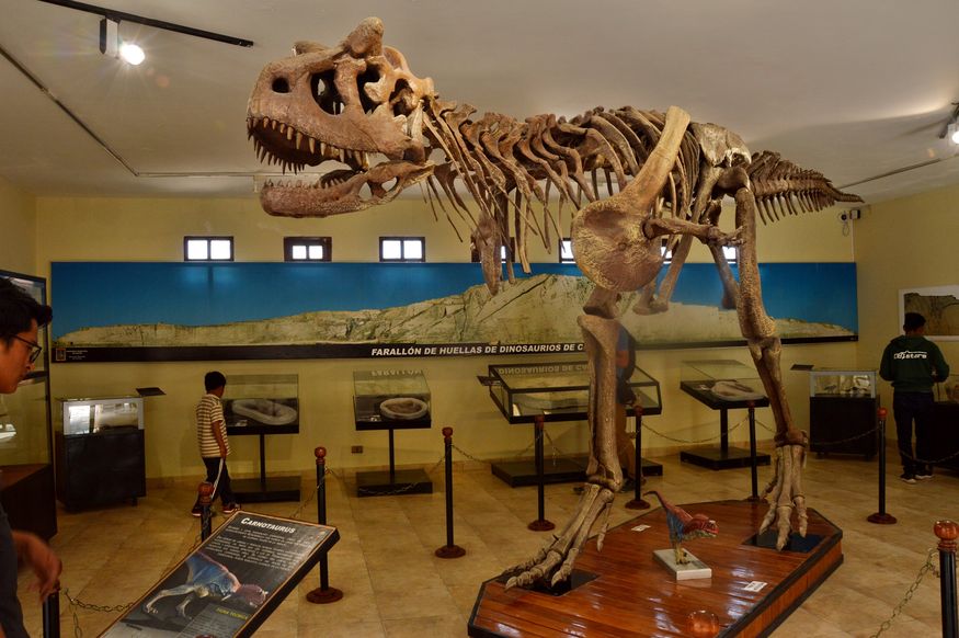 макет динозавра в музее в Боливии