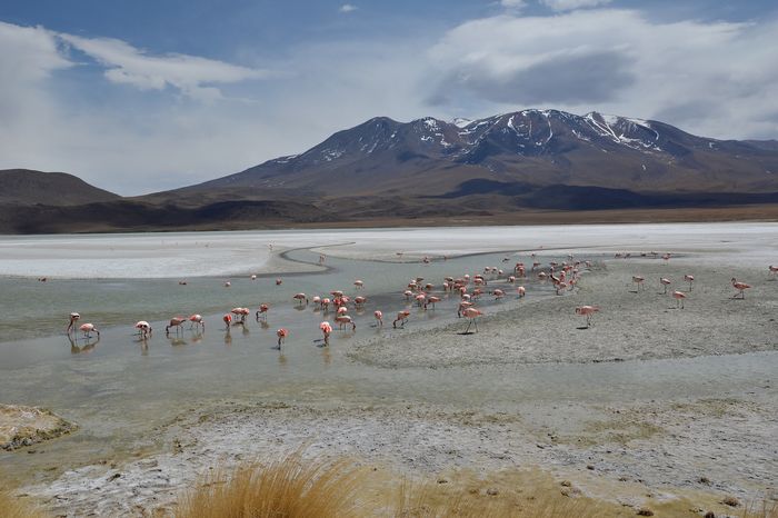 Озеро Онда в Боливии