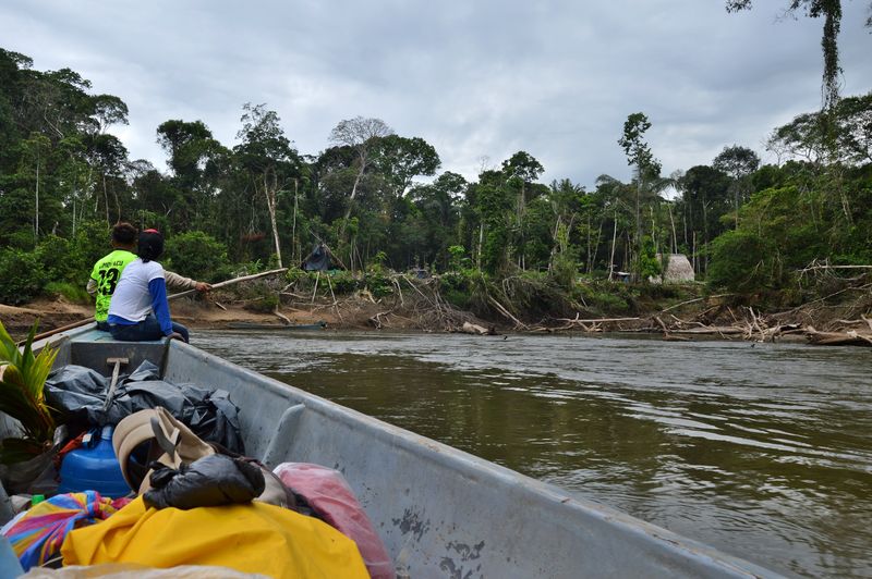 Путешествие на лодке по парку Ясуни в Эквадоре
