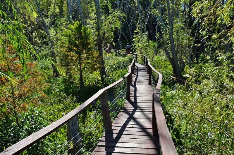 Деревянные мостки в парке Санта-Тереза в Уругвае
