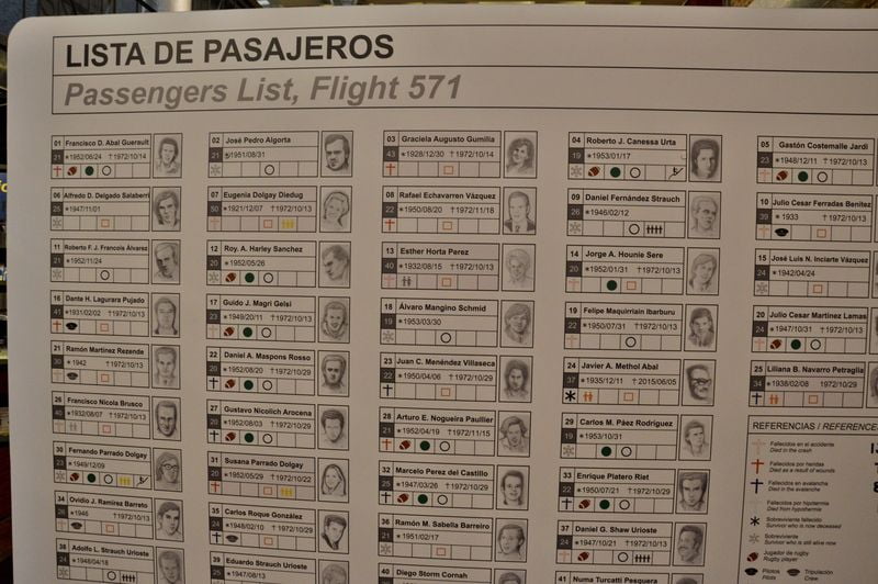 Список пассажиров самолета