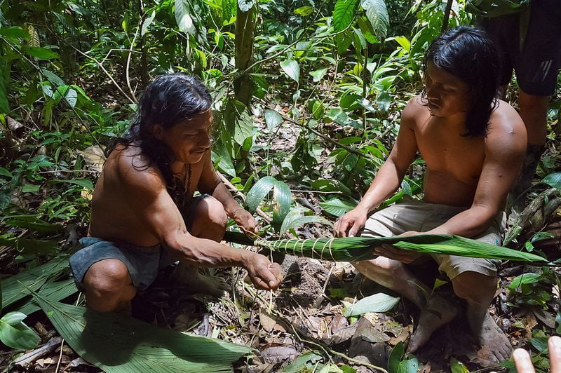 Индейцы сворачивают листья пальмы в кулек