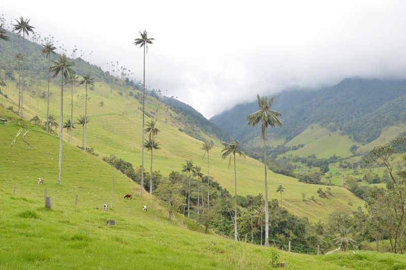 Природа Колумбии