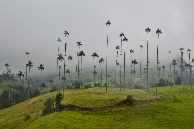 Пейзаж Саленто в Колумбии
