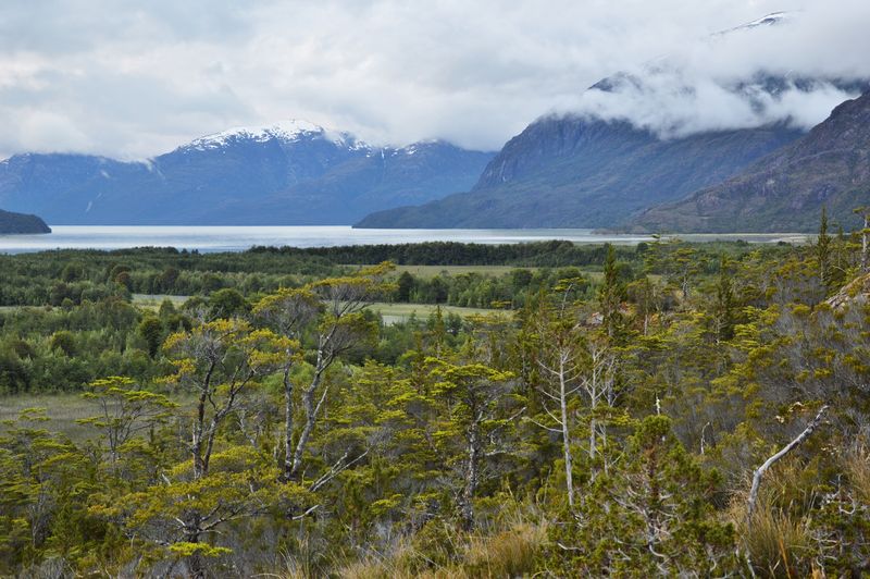 Region Aysen in Patagonia - view over the lake