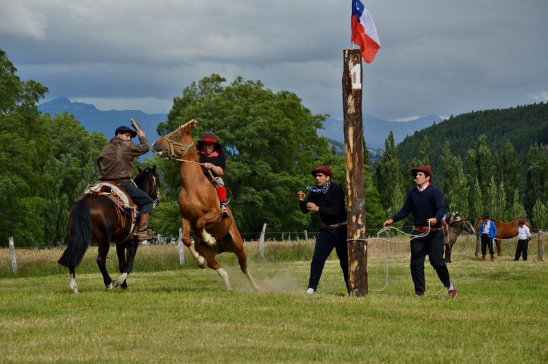 Хинетеада конный спорт Чили