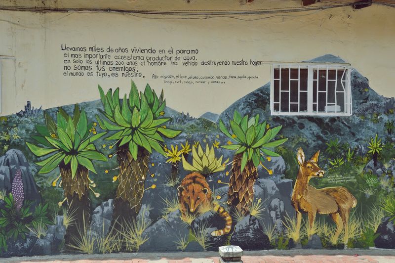 Стена на которой нарисованы растения и олень