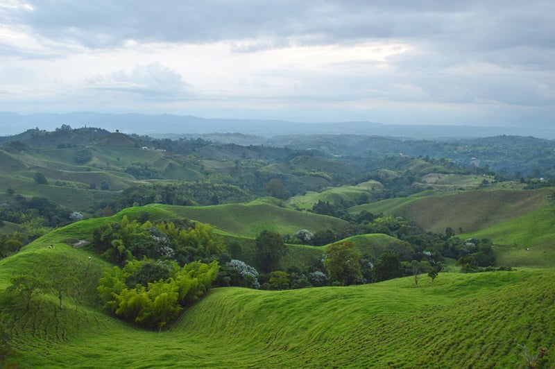 Зеленые холмы в Колумбийском кофейном треугольнике
