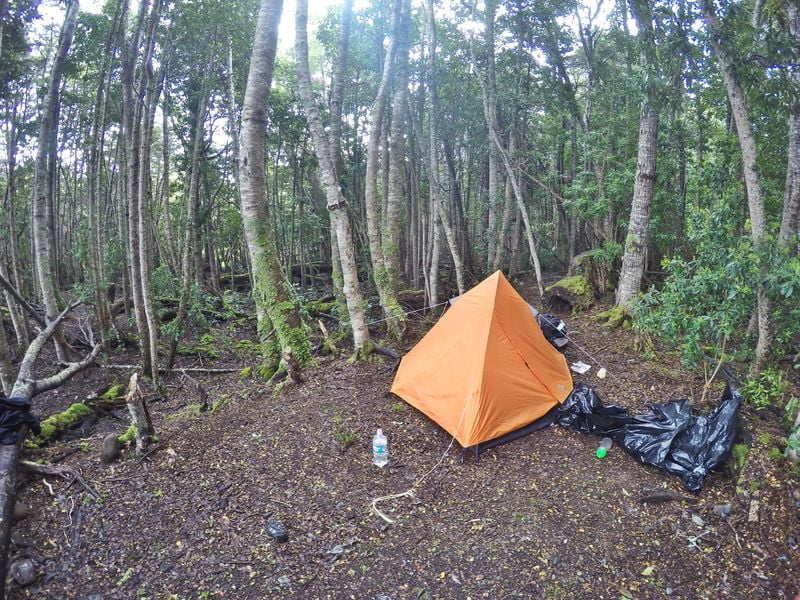 палатка в лесу