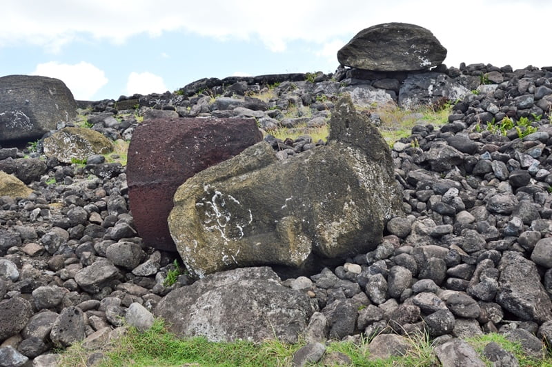 голова тсатуи лежит на земле среди камней