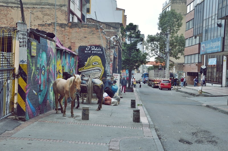 Лошадь на улице — Богота