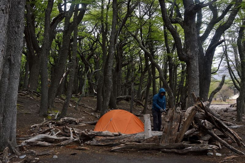 Camping Poceinot in Fitz Roy / Мужчина у палатки в лесу
