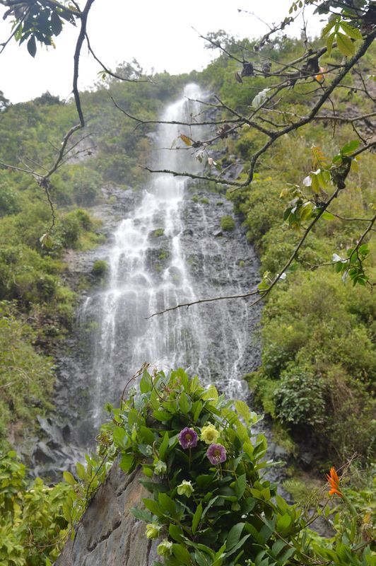 Водопад в джунглях Эквадора
