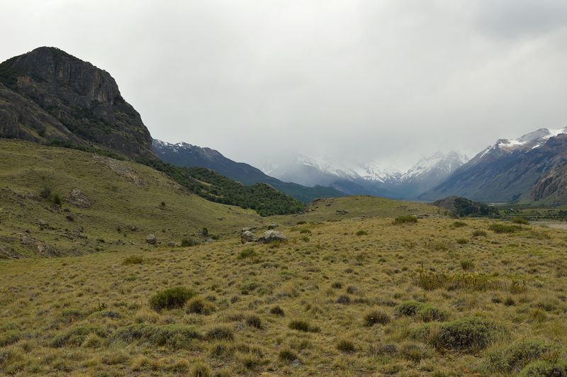 Fitz Roy landscape / Зеленая трава на фоне заснеженных вершин