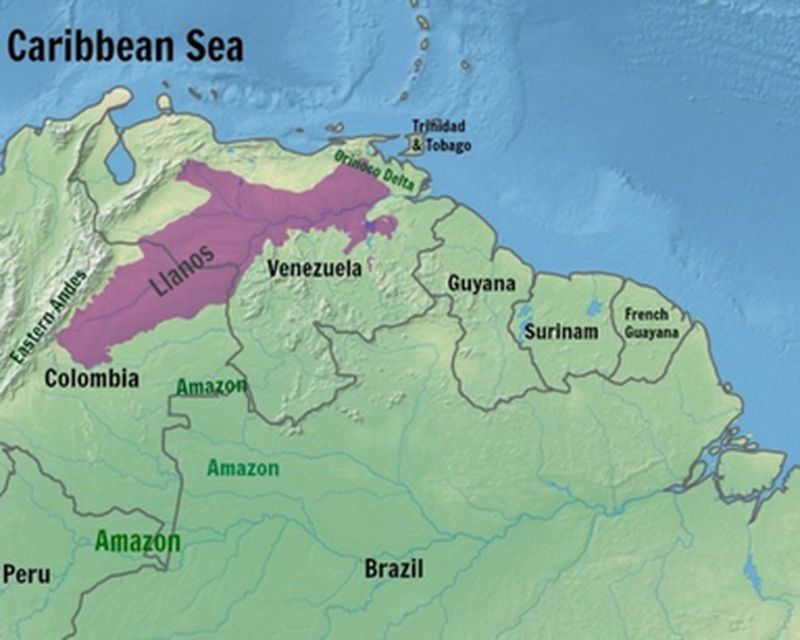 Карта Южной Америки — регион Льянос в Колумбии