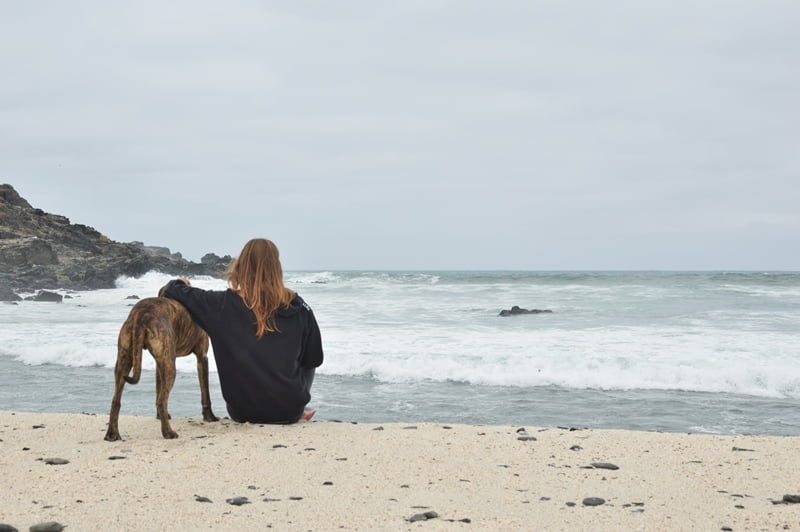 Девушка обнимает собаку и смотрит на океан в пасмурную погоду