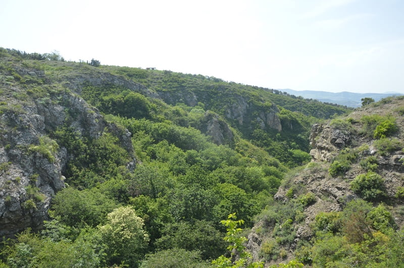 Природа в окрестностях Тбилиси