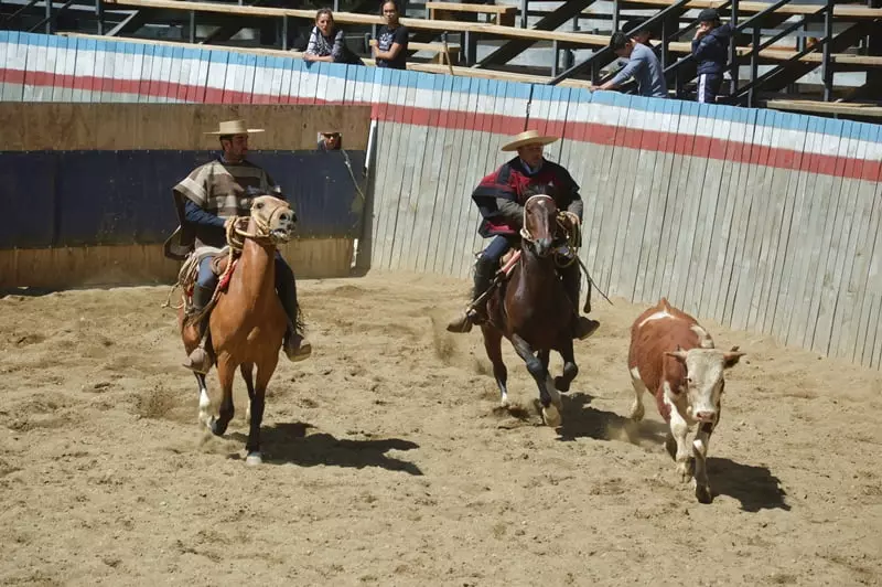 Chilean rodeo in Cochrane in 2017