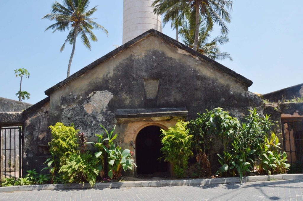 Одноэтажный дом в окружении пальм