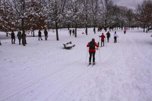 Лыжники в парке - зима в Монреале