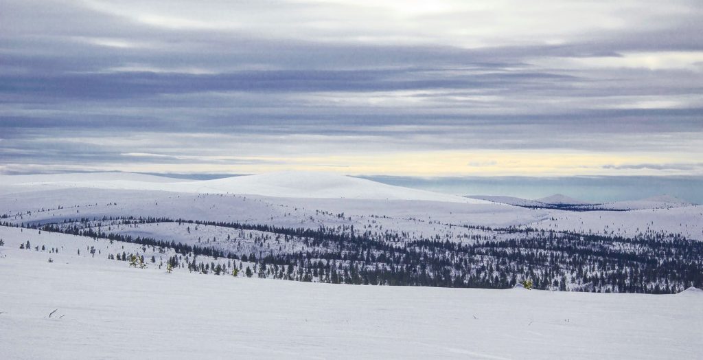 Панорама - регион Лапландия