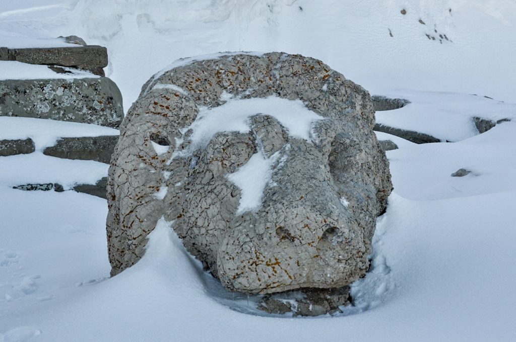 Каменная голова льва в снегу