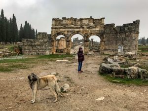Собака на воне византийский ворот