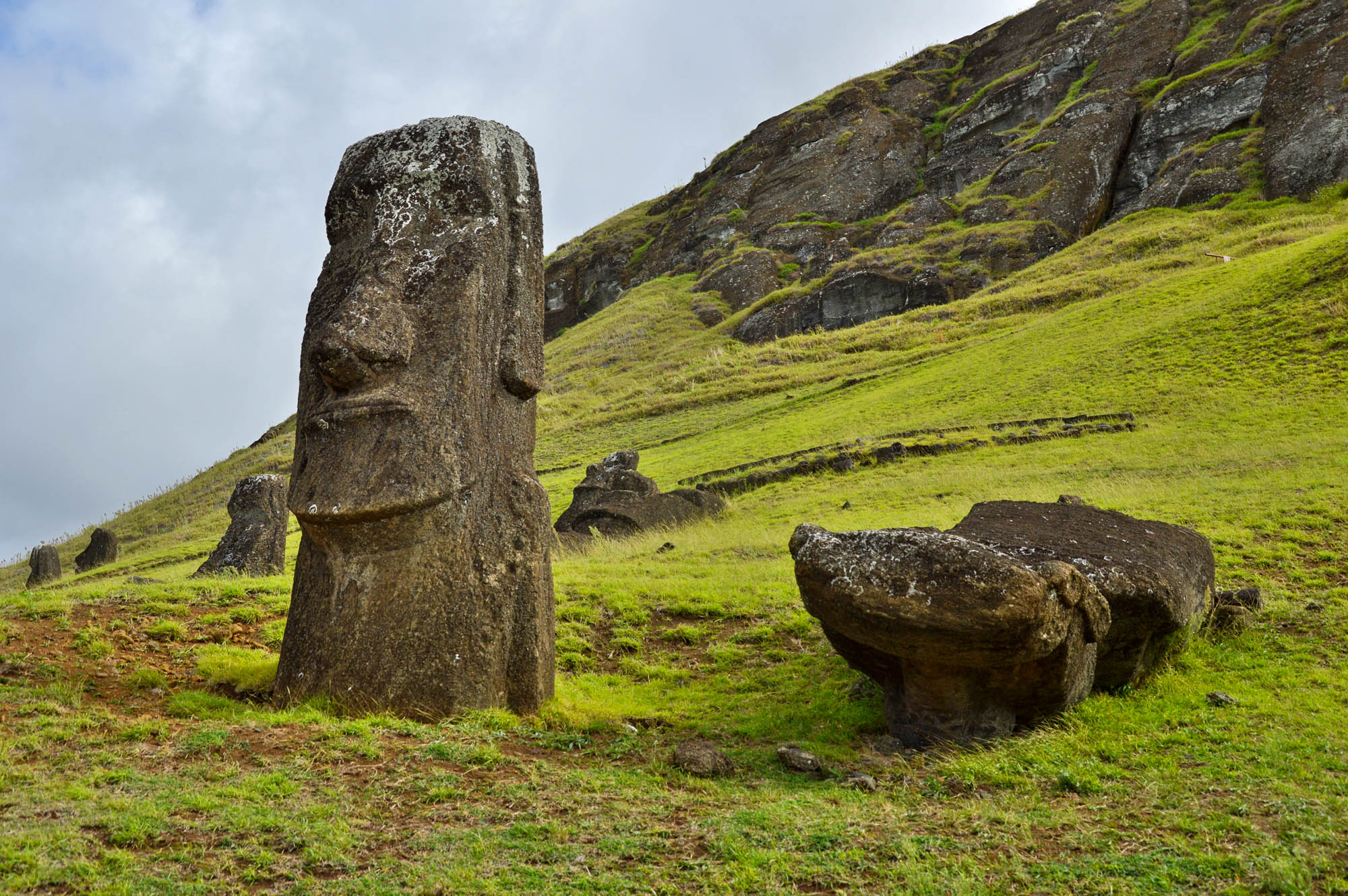 Статуи острова Пасхи у каменоломни
