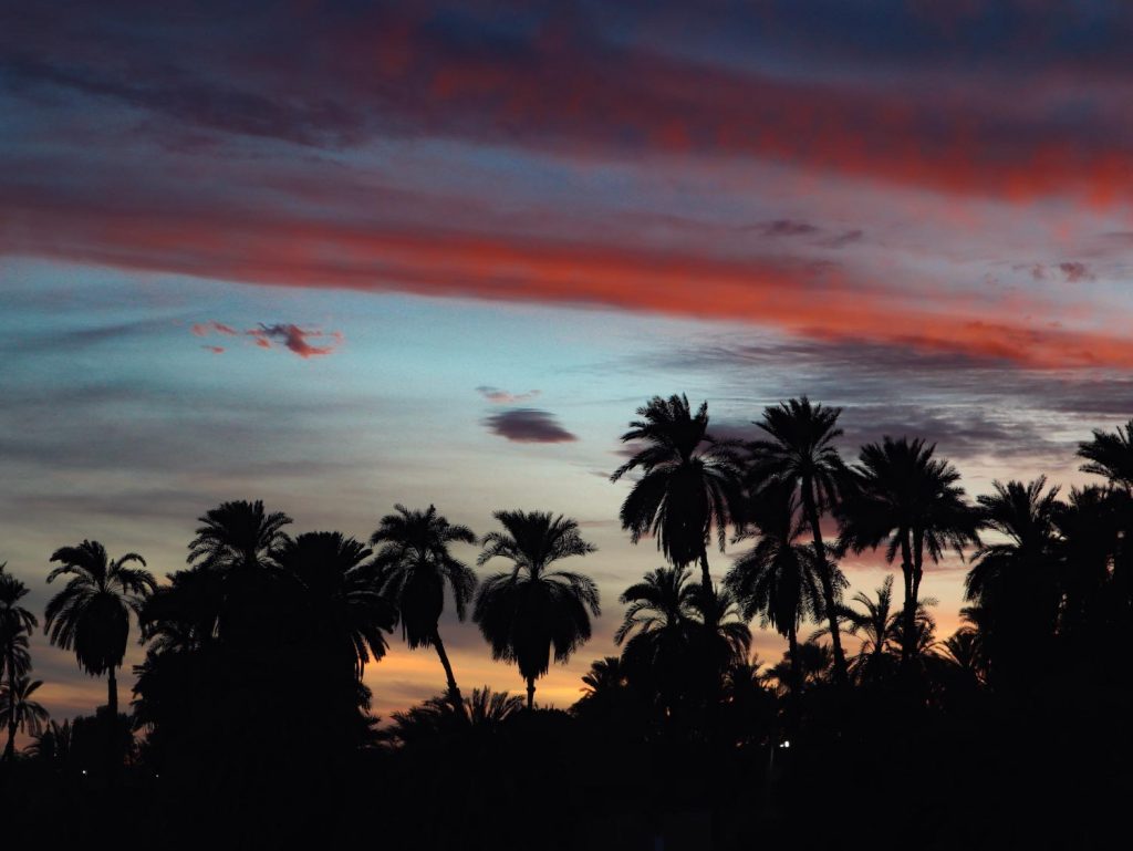Силуэт пальм на закате — круиз по Нилу