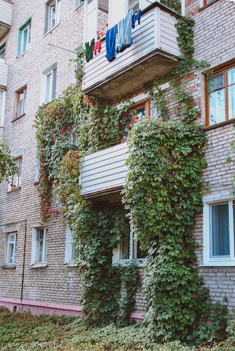Балкон увитый зеленью