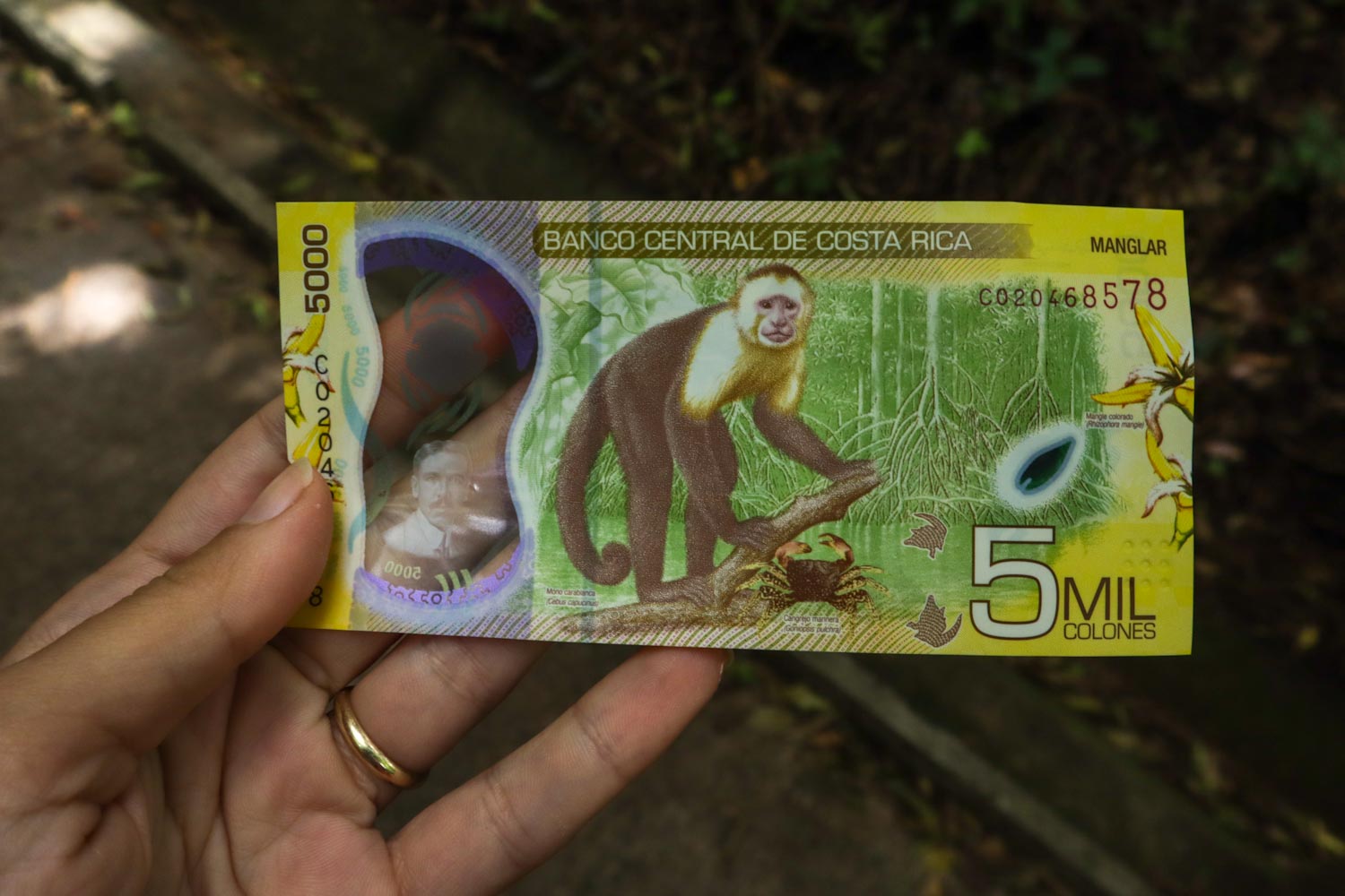 Банкнота 5000 колонов Коста-Рика