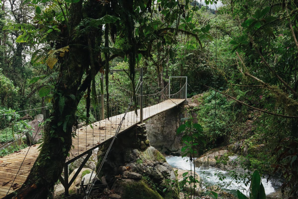 подвесной мост Коста-Рика