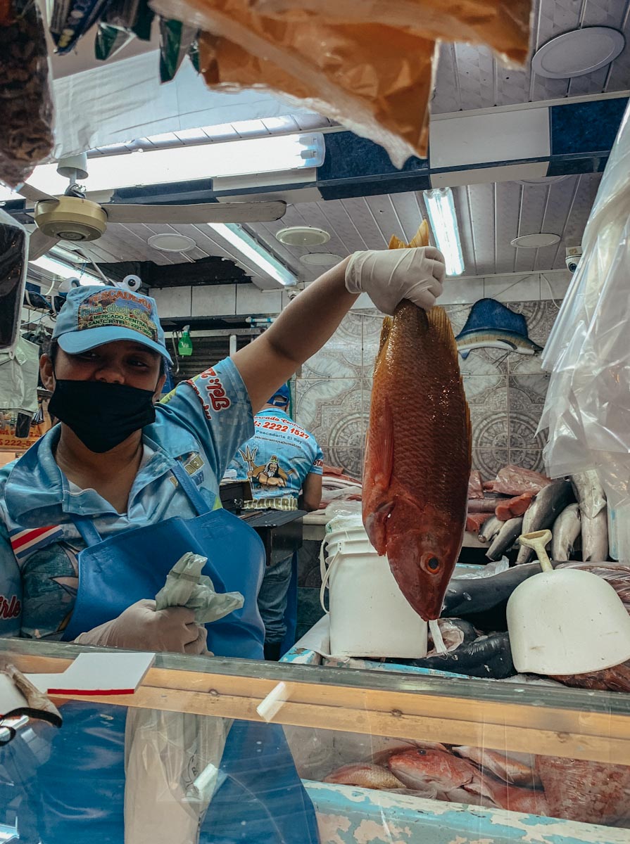 Девушка демонстрирует свежую рыбу на рынке