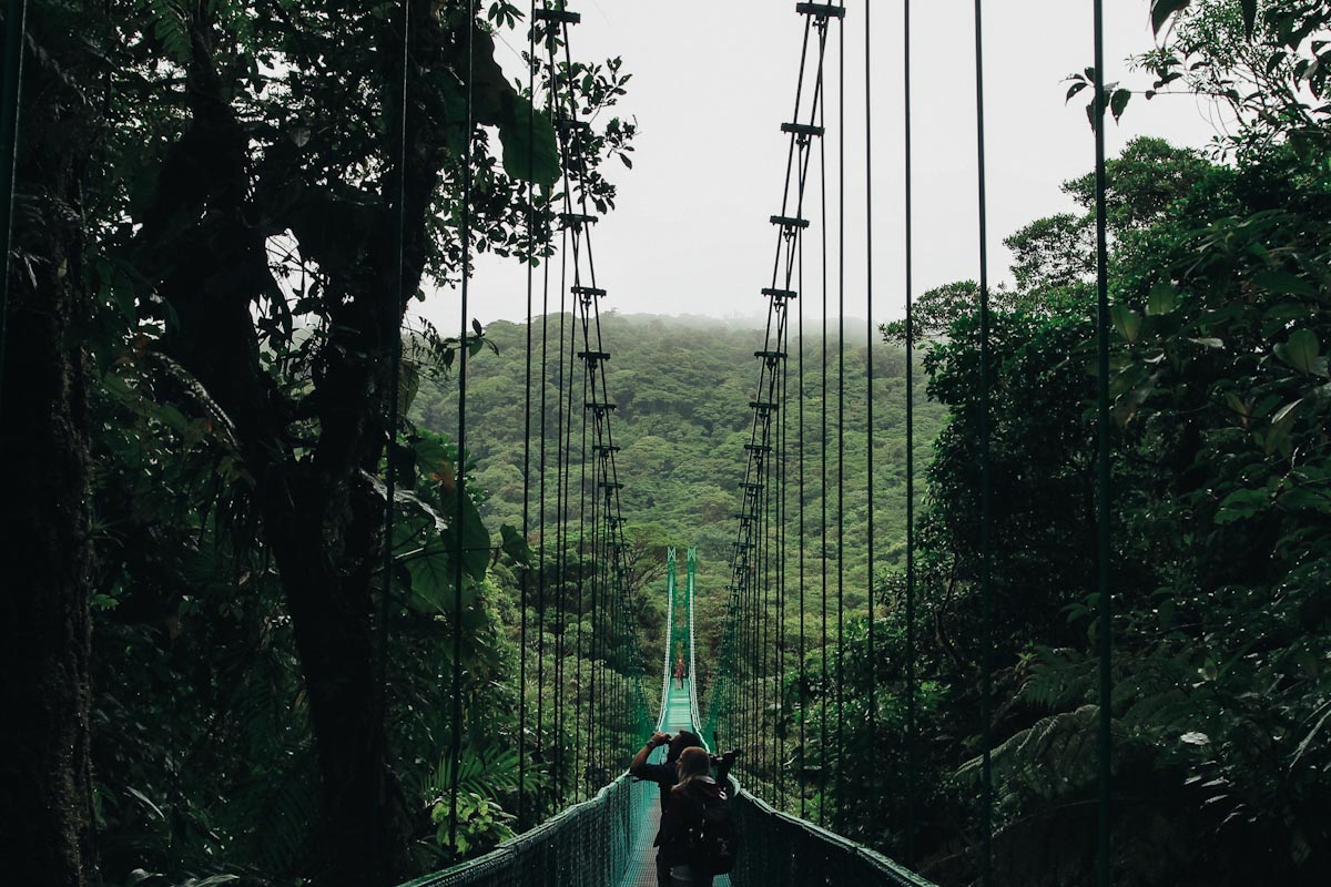 Подвесной мост в лесу Монтеверде