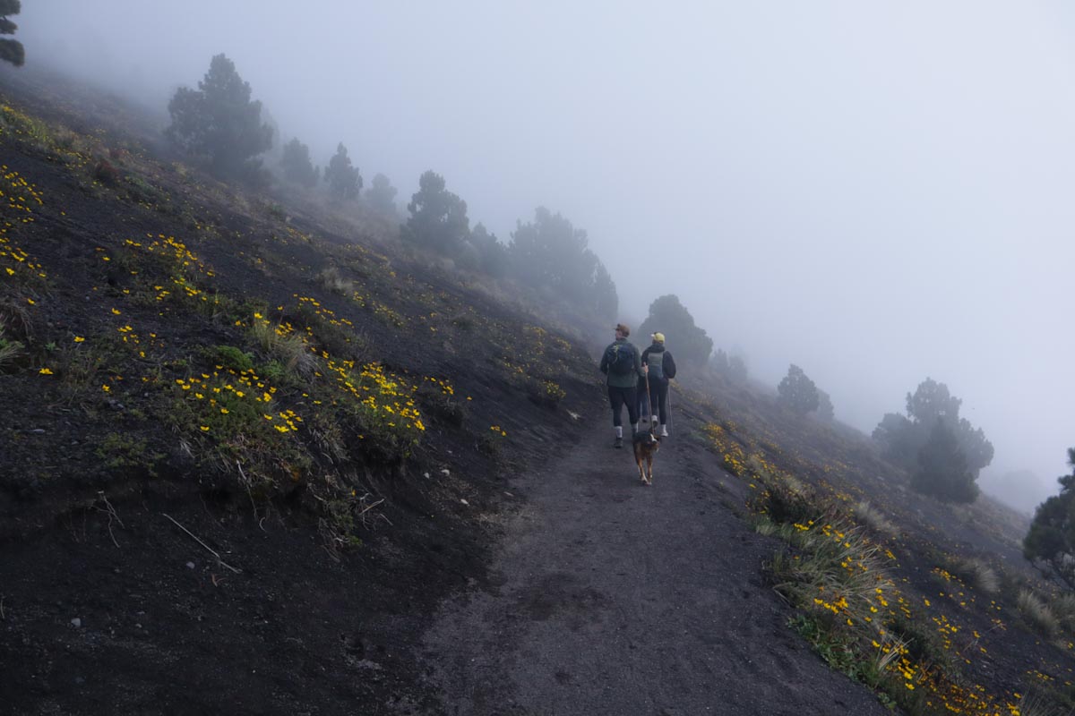 Туристы идут по тропе в тумане