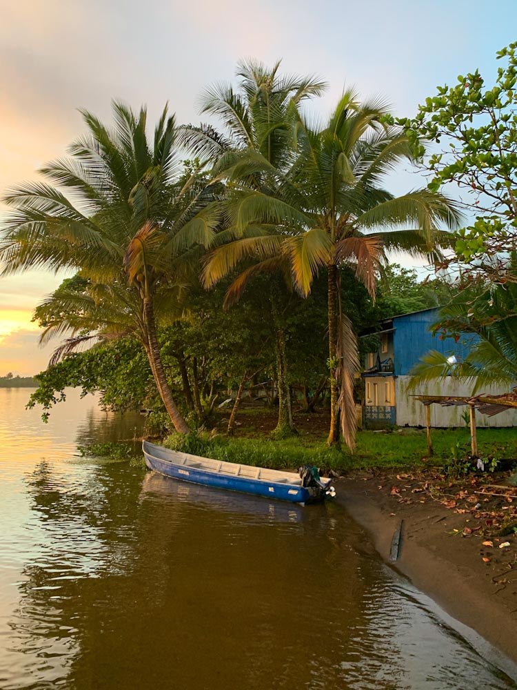 Лодка у пальмы на реке