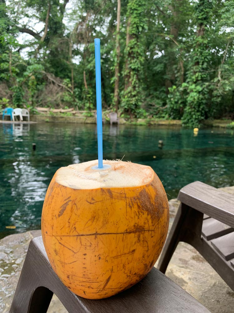 Кокос с трубочкой на фоне бирюзового бассейна / Coconut with the straw at the pool