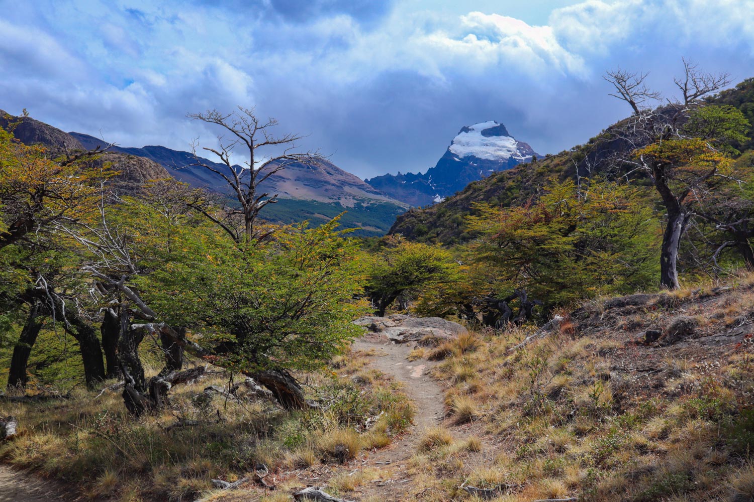 Поход Лагуна Торре в Патагонии — вид на Серро Соло