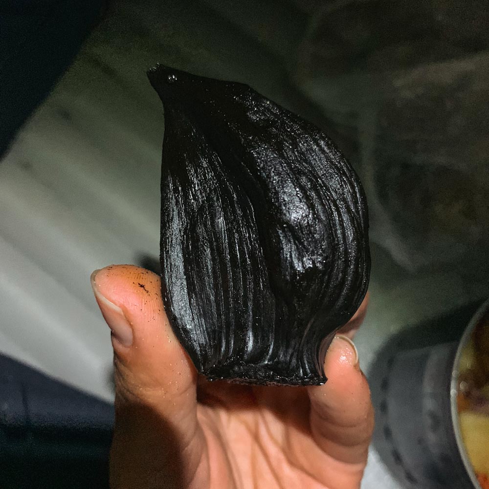 Черный ферментированный чеснок на острове Чилоэ