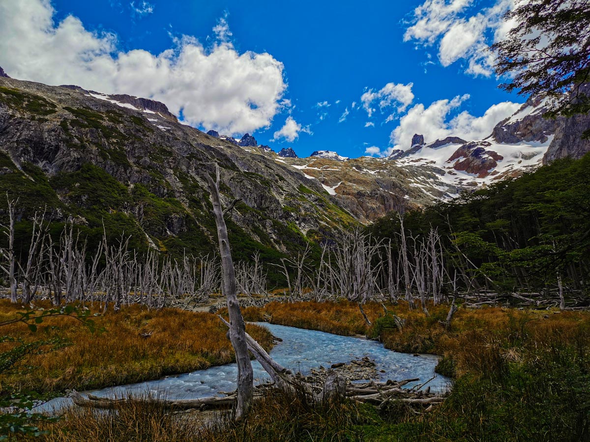 Nature near Ushuaia