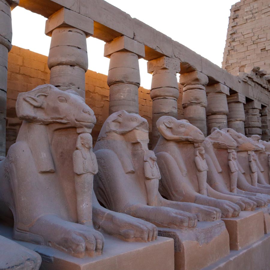 Статуи с головой барана в Луксоре
