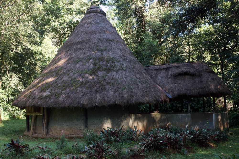 дом с соломенной крышей в лесу Какамега