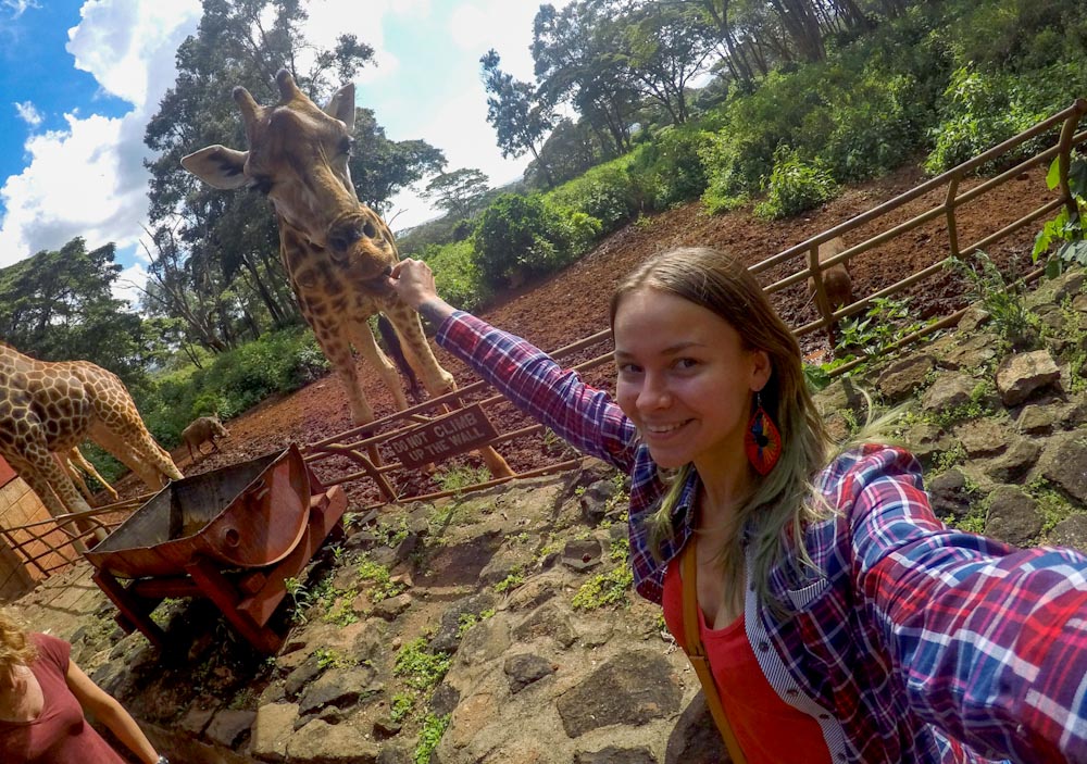 селфи с жирафом — Кения