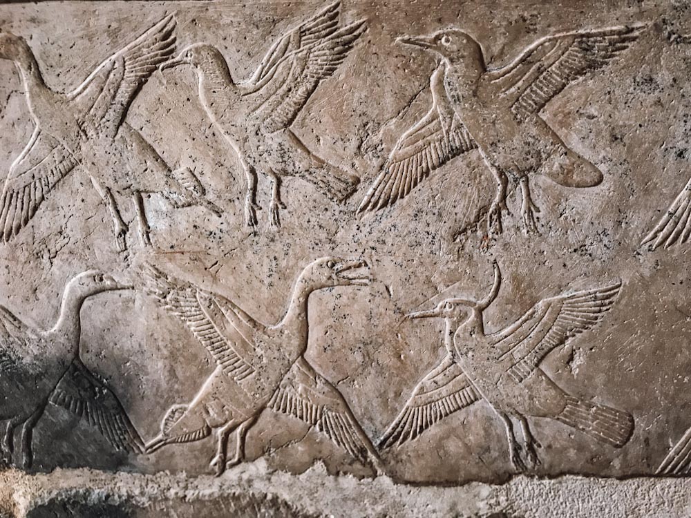 Гравировка в виде птиц на каменной стене