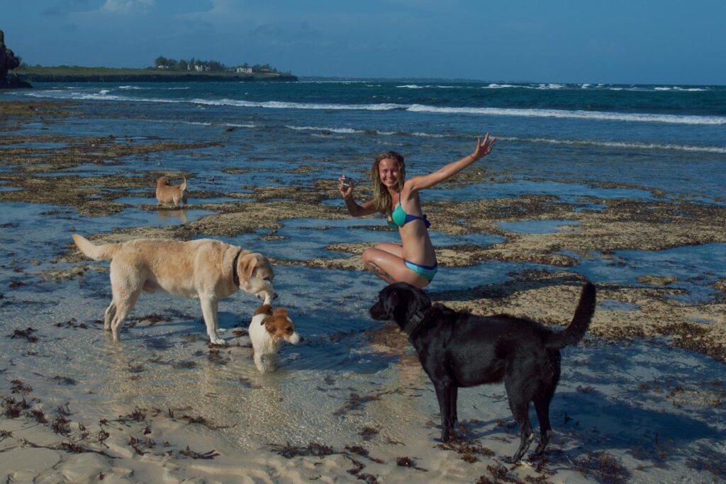 Девушка на пляже с собаками