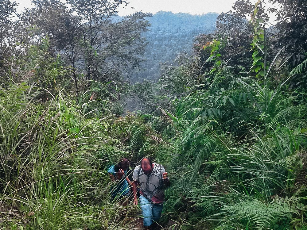 Туристы идут в поход по джунглям Сапа во Вьетнаме